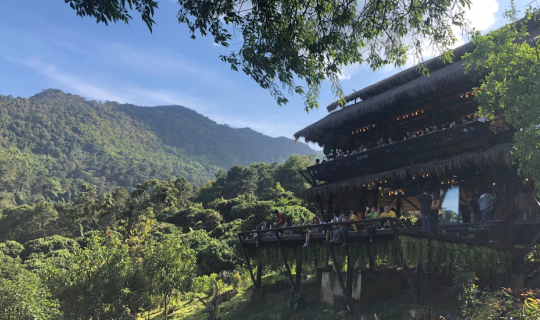 Cover สวนคุณปู่...