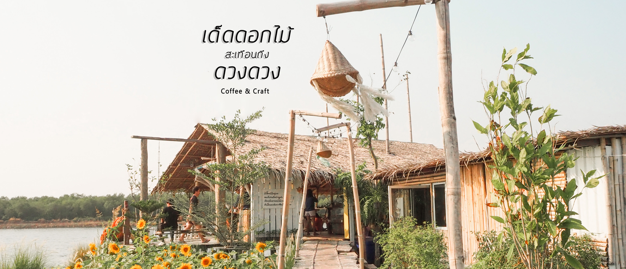 cover เด็ดดอกไม้สะเทือนถึงดวงดาว คาเฟ่บรรยากาศป่าชายเลน @บางปู