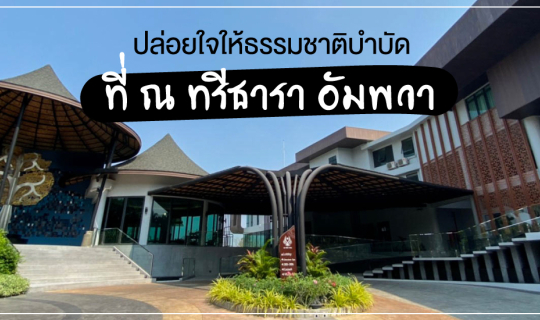 Cover พักผ่อนใกล้กรุง ให้ธรรมชาติบำบัดที่ ณ ทรีธารา อัมพวา...