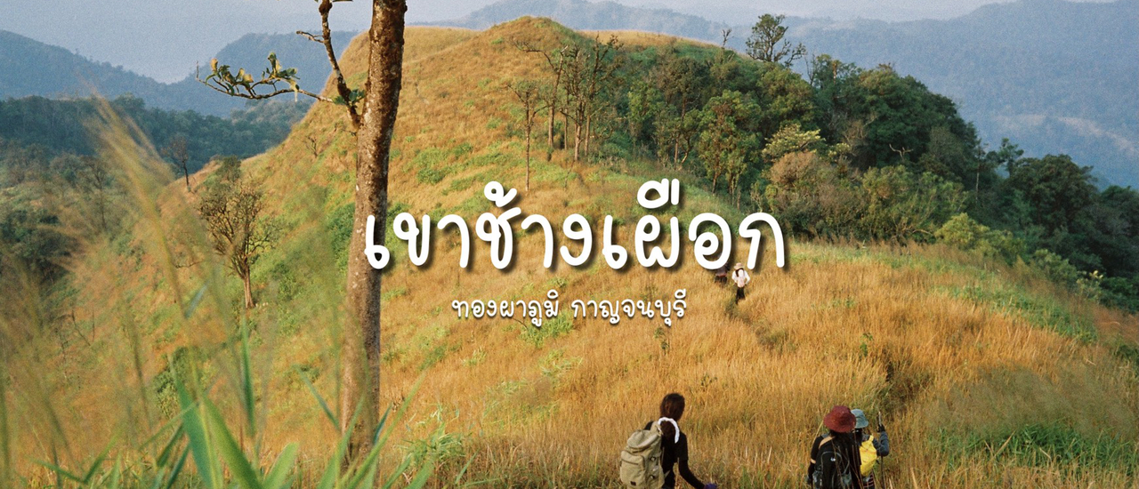 cover Wander Around l เขาช้างเผือก