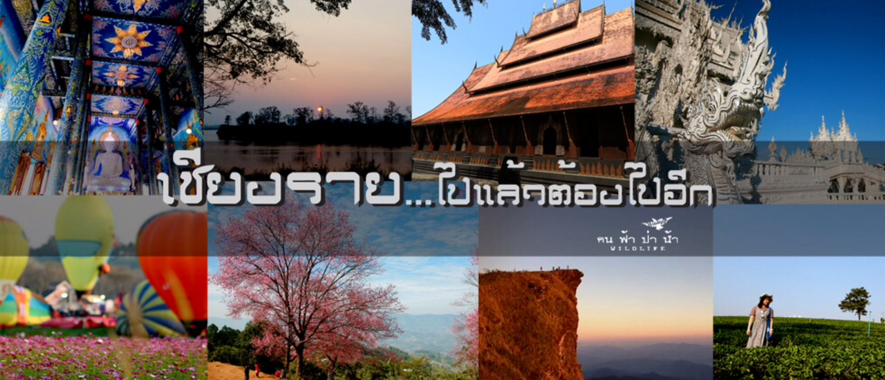 cover เชียงราย ไปแล้วต้องไปอีก…