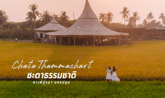 cover ชะตาธรรมชาติ คาเฟ่ริมทุ่งนา บรรยากาศดี ดีไซน์สวย แห่งนครปฐม