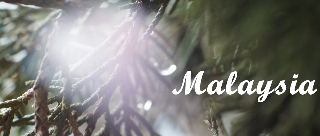 cover ผู้หญิงคนเดียวอย่าไปเที่ยว....มาเลย์เซีย (เพราะมันจะฟิน!!) ตอนที่ 1