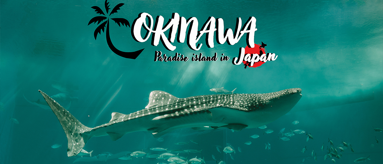 cover OKNAWA  เกาะสวรรค์ที่ใครๆมาแล้วก็จะหลงรัก