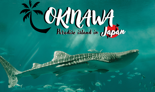 Cover OKNAWA  เกาะสวรรค์ที่ใครๆมาแล้วก็จะหลงรัก...