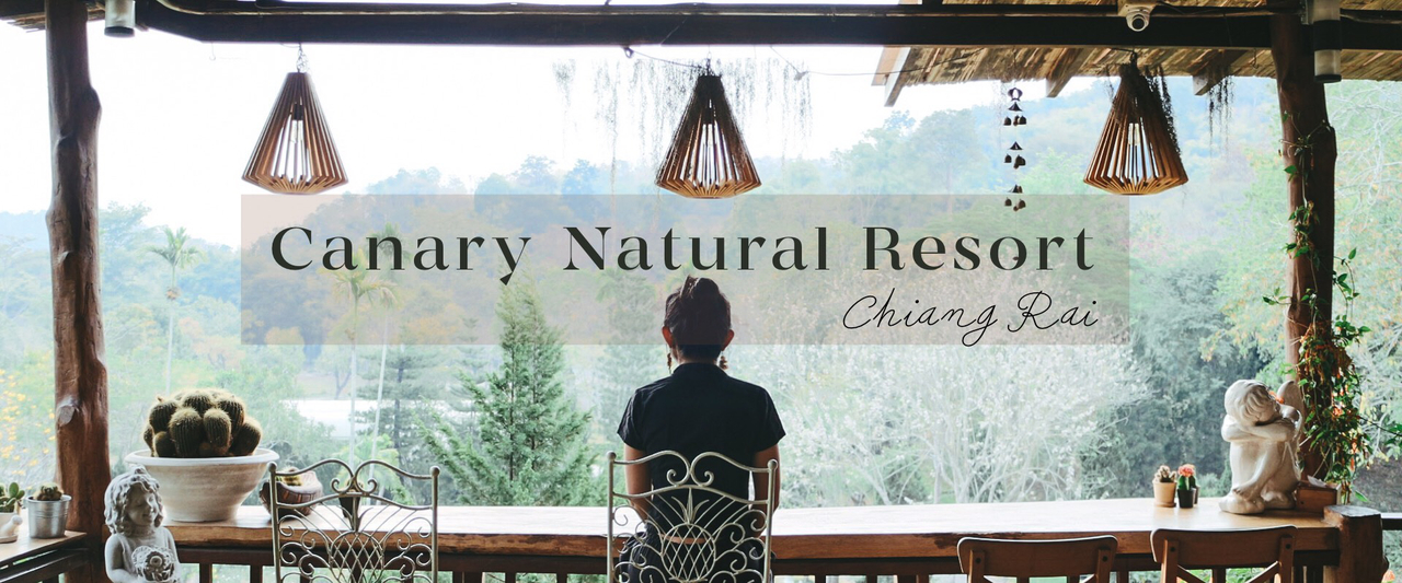 cover [Chiangrai:เชียงราย] Canary Natural Resort มาให้ธรรมชาติโอบกอดเราสิ