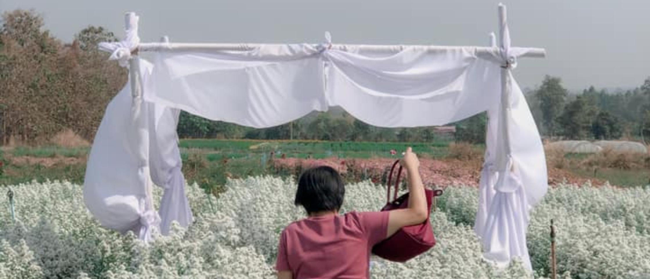 cover ขับรถเรื่อยๆ จนมาเจอสวนดอกไม้ >///<