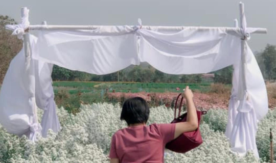 cover ขับรถเรื่อยๆ จนมาเจอสวนดอกไม้ >///<