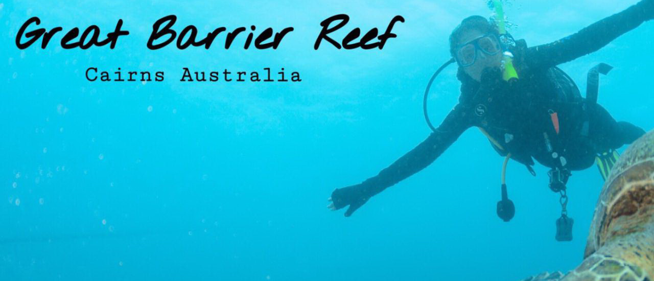 cover ดำน้ำที่ แครนส์  เมืองในฝัน สวรรค์ของนักดำน้ำ Australia Cairns great barrier reef
