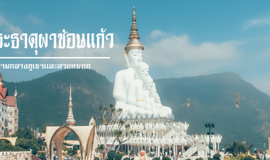 cover วัดพระธาตุผาซ่อนแก้ว เขาค้อ เพชรบูรณ์