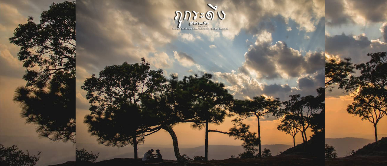 cover ภูกระดึง ตึงทั้งตัว