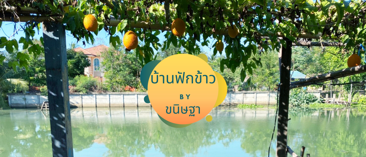 cover แหล่งท่องเที่ยวเชิงเกษตร บ้านฟักข้าว by ขนิษฐา