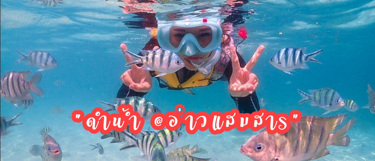 cover One day trip : จอยทริปดำน้ำแสมสาร ดำน้ำใสๆ กับทะเลสวย ถ่ายรูปกับน้องปลานีโม่ @สัตหีบ