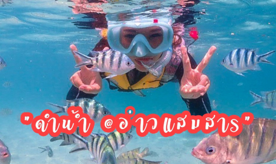 cover One day trip : จอยทริปดำน้ำแสมสาร ดำน้ำใสๆ กับทะเลสวย ถ่ายรูปกับน้องปลานีโม่ @สัตหีบ