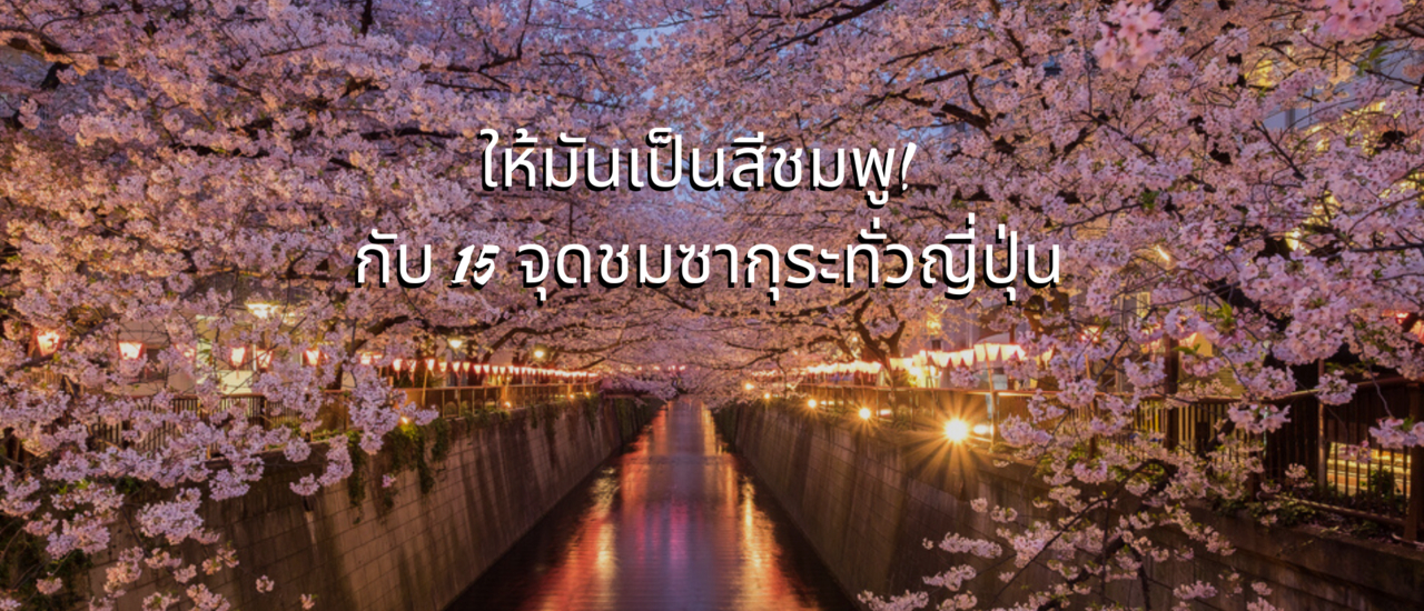 cover 🌸ให้มันเป็นสีชมพู! กับ 15 จุดชมซากุระทั่วญี่ปุ่น🌸