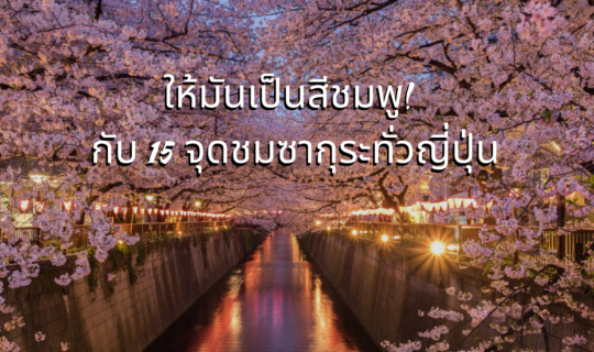 cover 🌸ให้มันเป็นสีชมพู! กับ 15 จุดชมซากุระทั่วญี่ปุ่น🌸