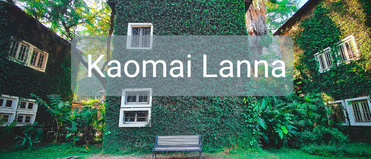 cover เพลินตา สบายใจที่ เก๊าไม้ล้านนา - คาเฟ่โรงบ่ม @เชียงใหม่