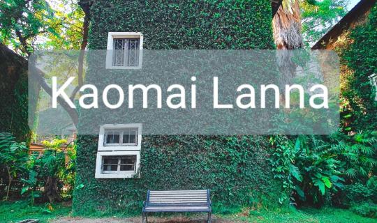 Cover เพลินตา สบายใจที่ เก๊าไม้ล้านนา - คาเฟ่โรงบ่ม @เชียงใหม่...