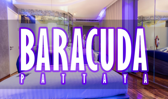 cover Hotel Baracuda Pattaya โรงแรมสีจี๊ดที่แฝงความเซ็กซี่ไว้ภายใน