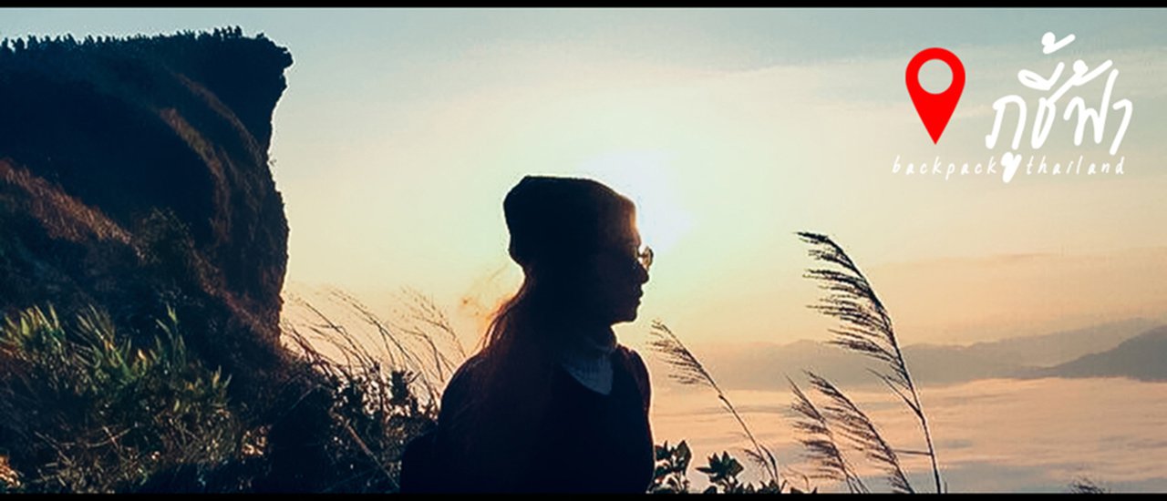 cover " ภู ชี้ ฟ้ า " ทะเลหมอก สวรรค์แห่งล้านนา