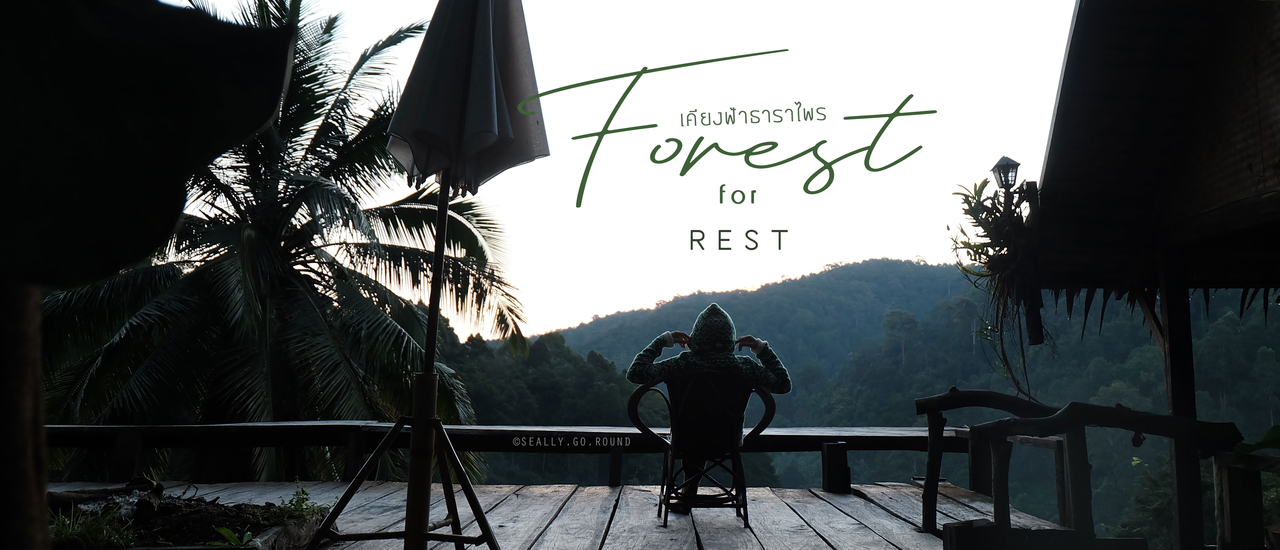 cover Forest for REST เชียงใหม่ทริปนี้สีเขียว : เคียงฟ้าธาราไพร แม่แมะ