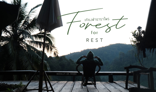 cover Forest for REST เชียงใหม่ทริปนี้สีเขียว : เคียงฟ้าธาราไพร แม่แมะ