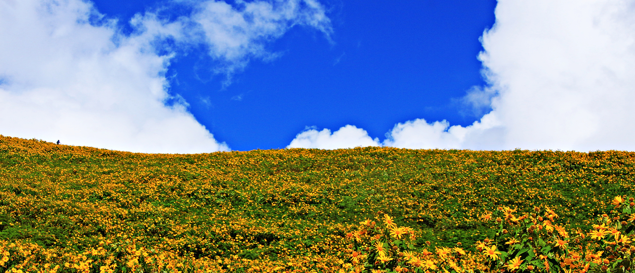 cover ทริปหลงเขาเชียงใหม่-แม่ฮ่องสอน 3 คืน 4 วัน