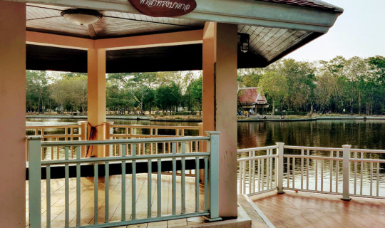 cover 1 Day Trip @ Bang Kachao