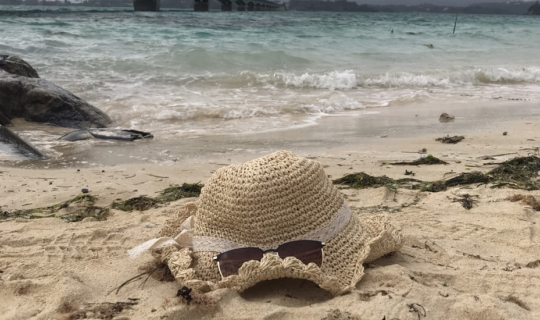 Cover 𝙾𝙺𝙸𝙽𝙰𝚆𝙰 13-15 Feb 2020...