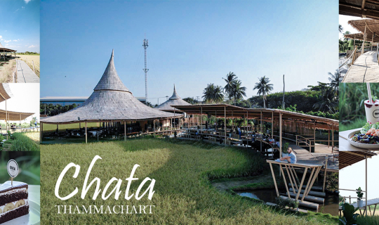 cover Chata Thammachart คาเฟ่กลางท้องนา บรรยากาศอย่างธรรมชาติ