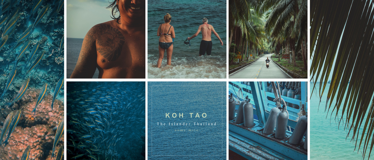 cover เกาะเต่า เราไป! เที่ยวให้ครบ จบในทริปเดียว some.mile x The Islander Thailand