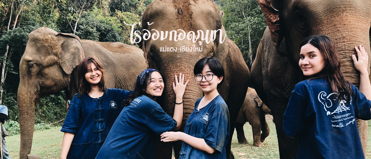 cover ใกล้ชิดน้องช้างที่ "ไร่อ้อมกอดภูเขา อำเภอแม่แตง จังหวัดเชียงใหม่"