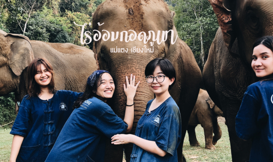 cover ใกล้ชิดน้องช้างที่ "ไร่อ้อมกอดภูเขา อำเภอแม่แตง จังหวัดเชียงใหม่"