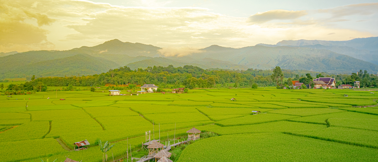 cover เมืองน่าน ไม่มาได้ไง