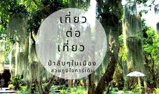 cover ป่าลับๆ ในเมือง สวนภูมิใจการ์เด้น