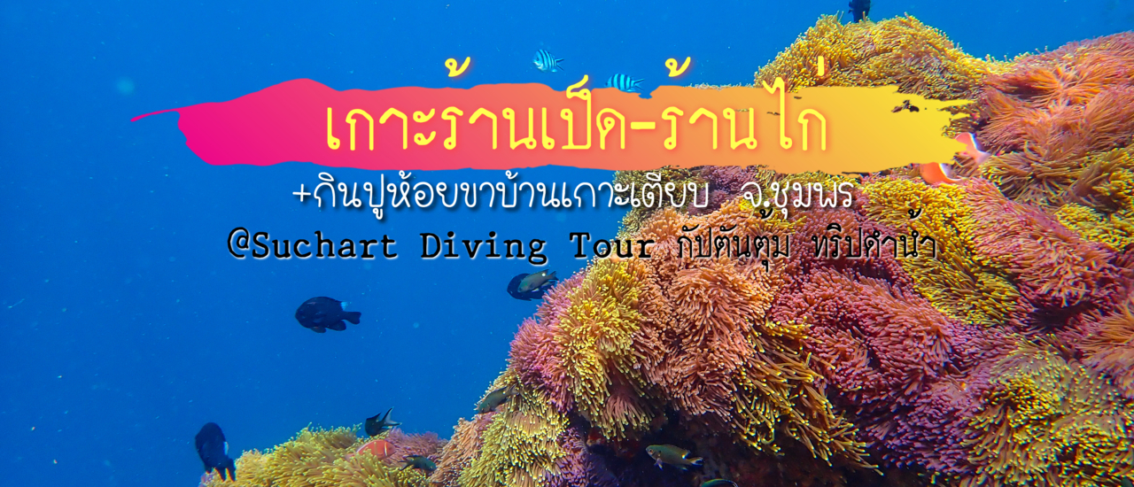 cover เกาะร้านเป็ด-ร้านไก่  + กินปูห้อยขาบ้านเกาะเตียบ  จ.ชุมพร