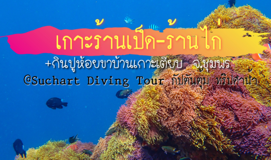 cover เกาะร้านเป็ด-ร้านไก่  + กินปูห้อยขาบ้านเกาะเตียบ  จ.ชุมพร