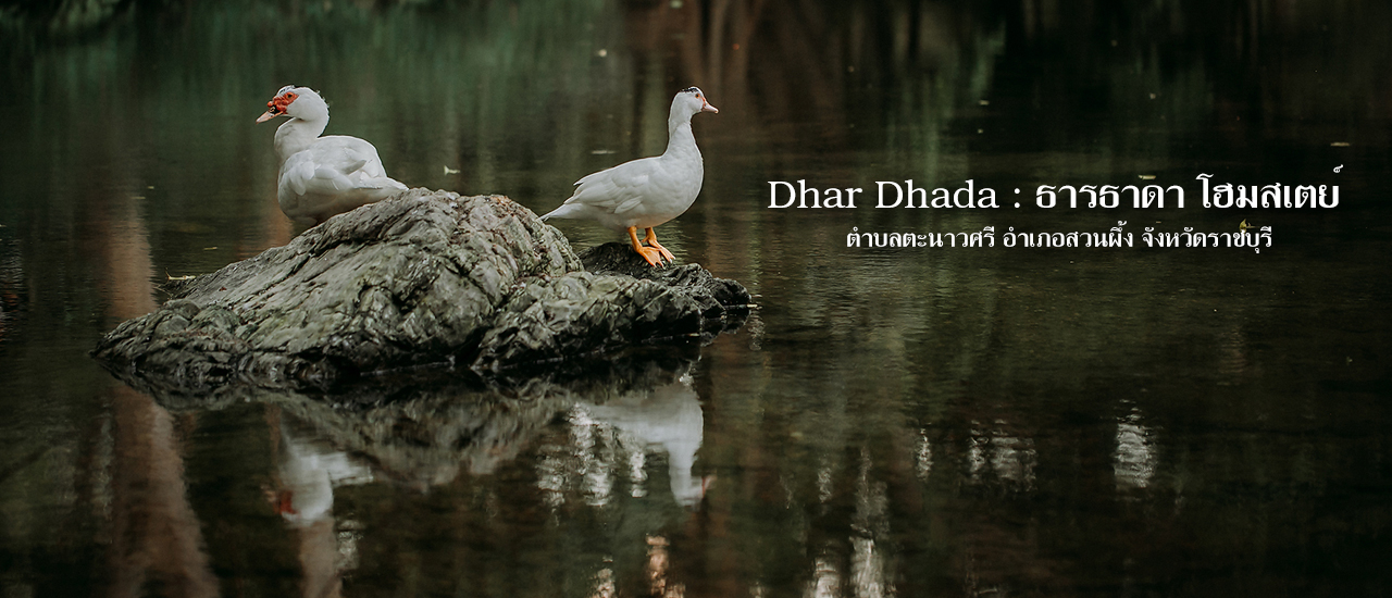 cover ธารธาดาโฮมสเตย์ อ.สวนผึ้ง จ.ราชบุรี