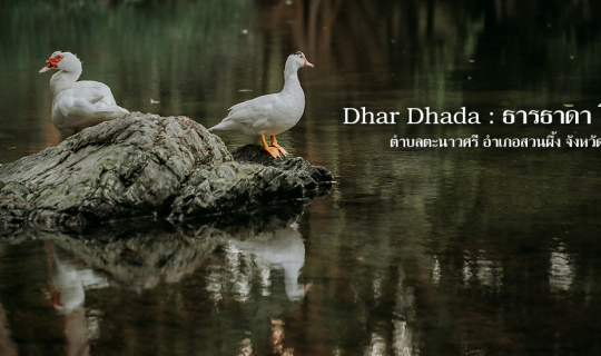 cover ธารธาดาโฮมสเตย์  อ.สวนผึ้ง  จ.ราชบุรี