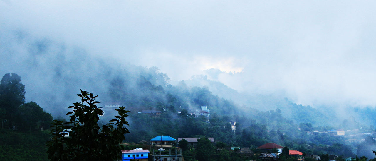 cover พาร่างไปให้แม่สลองบำบัด