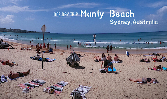 cover One Day Trip เดินชิวริมทะเล Manly Beach ,Sydney, Australia