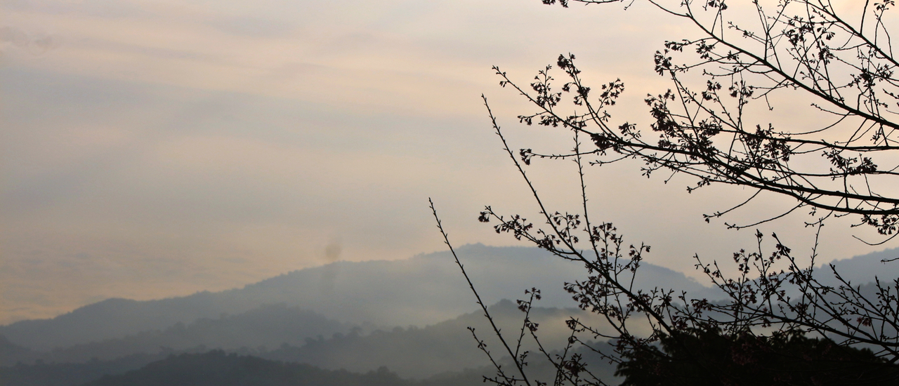 cover ว่าจะไปส่องดอยหลวงที่สันป่าเกี๊ยะ