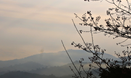 cover ว่าจะไปส่องดอยหลวงที่สันป่าเกี๊ยะ