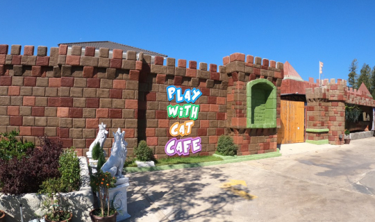 Cover เหมียวๆๆๆ คาเฟ่ย่านนครปฐมที่ทาสแมวต้องหลงรัก Play With Cat Cafe รูปเ...