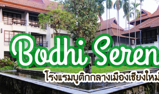 cover Bodhi Serene A Boutique Hotel โรงแรมสงบ ใจกลางเมืองเชียงใหม่