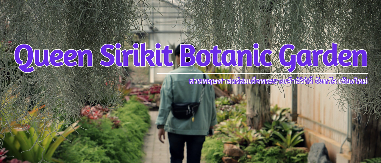 cover ป้าป่ะเนี้ย “สวนพฤษศาสตร์สมเด็จพระนางเจ้าสิริกิติ์” เชียงใหม่