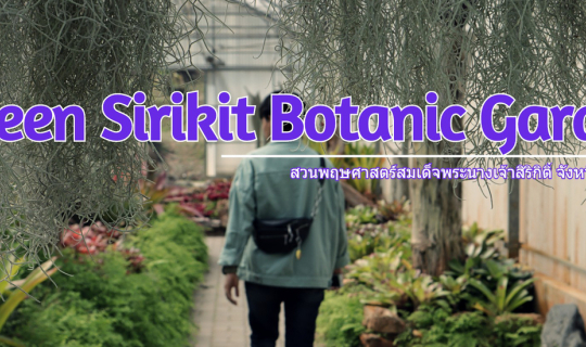 cover ป้าป่ะเนี้ย “สวนพฤษศาสตร์สมเด็จพระนางเจ้าสิริกิติ์” เชียงใหม่