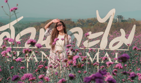 cover I STAYED IN AN RV VAN IN SUAN LAMAI RAYONG