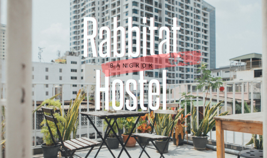 cover Rabbitat Hostel  ที่พักน่ารักในงบหลักร้อย ใกล้ BTS พญาไท