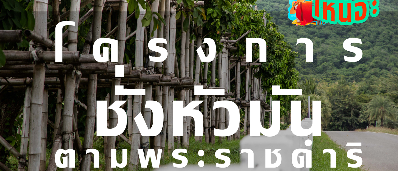 cover พาเที่ยวโครงการชั่งหัวมันตามพระราชดำริ แหล่งความรู้ล้ำค่าที่พ่อสร้างไว้